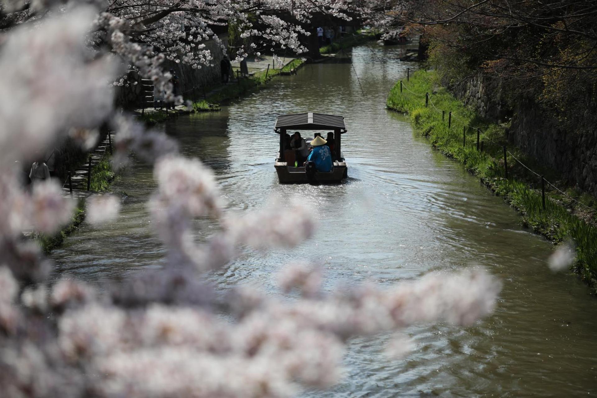 ゲストハウス桜 Guest House Sakura 便利な立地 貸し切り Омихатиман Экстерьер фото
